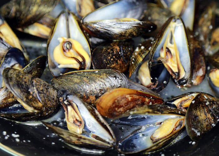 Mussels